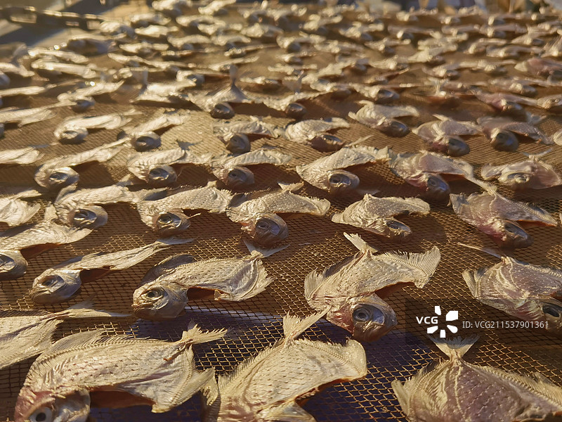 广东惠州巽寮湾晾晒的鱼图片素材