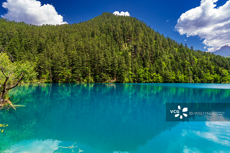 春天九寨沟的老虎海图片素材