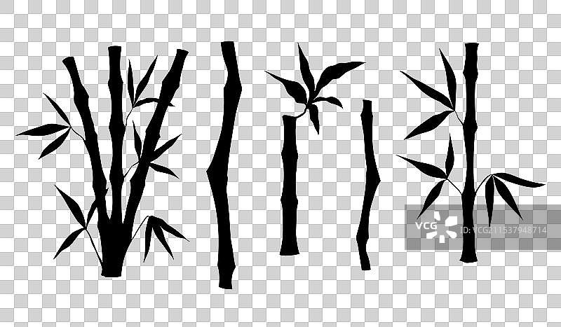 竹树干与叶子的剪影组合图片素材