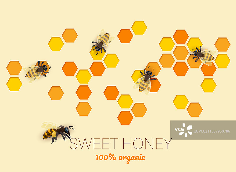 纸雕蜂窝蜜和蜜蜂横幅图片素材