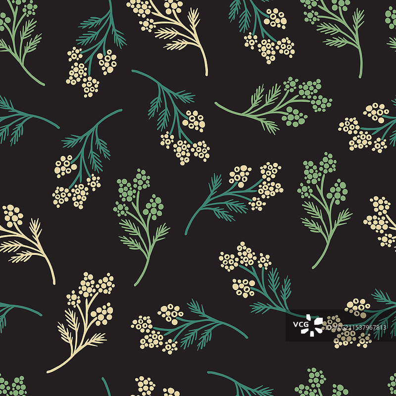 新鲜的精致花卉草本植物枝条图片素材