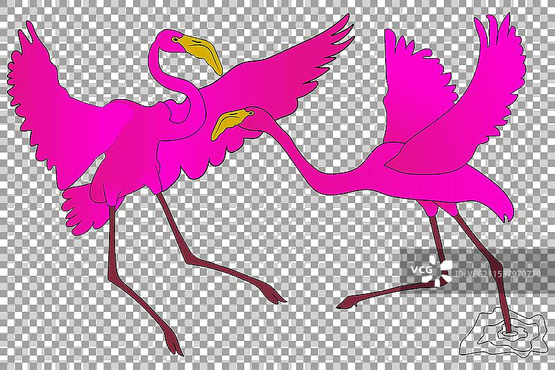 粉色火烈鸟图片素材