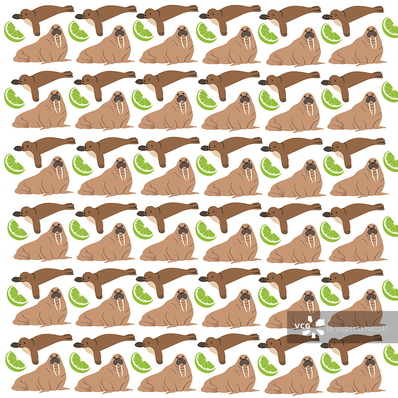 海豹海象与水果图案背景图片素材