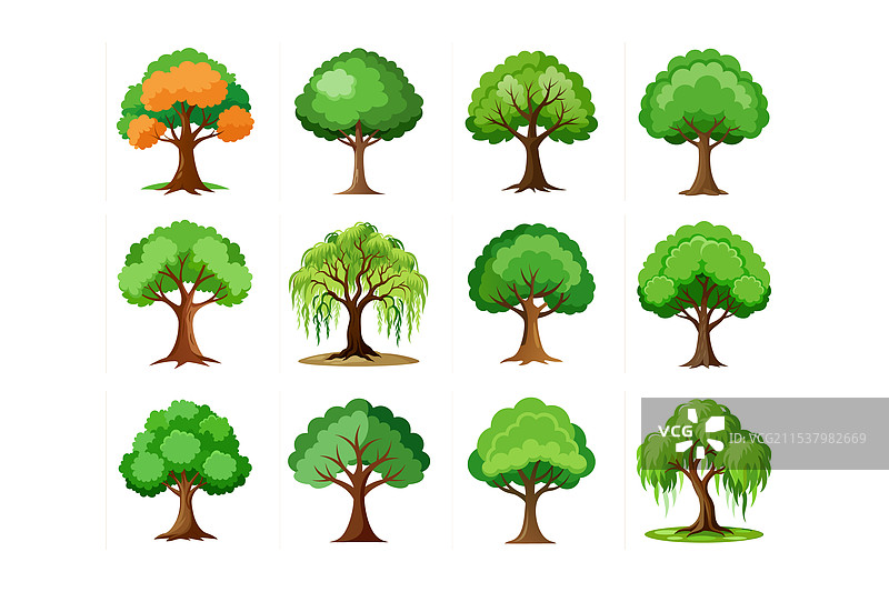 榆树、白桦、柳树、梧桐树、白杨树图片素材