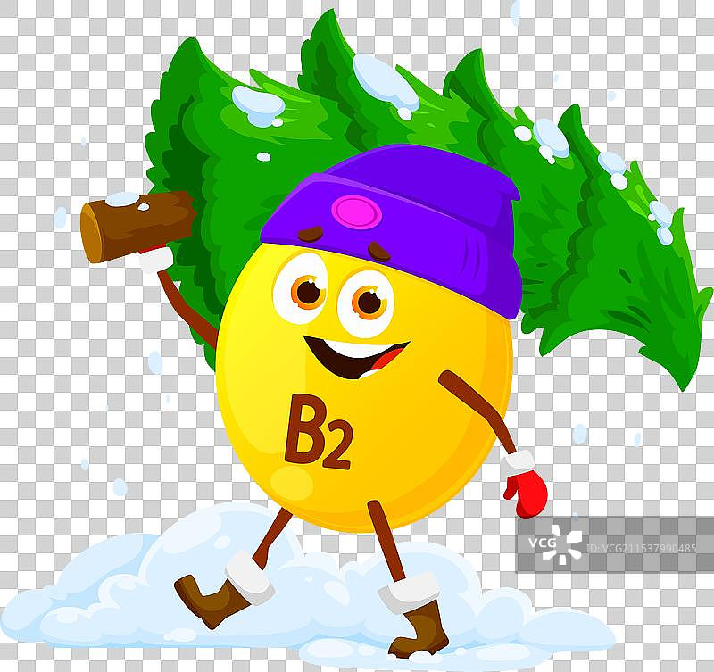携带维生素B2的圣诞树图片素材