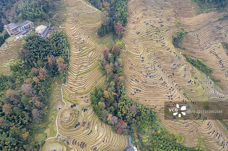 广西龙脊梯田航拍风景图片素材