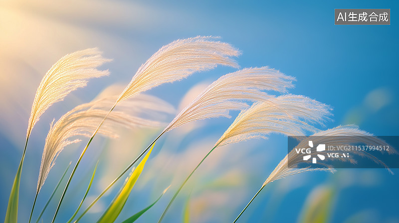 【AI数字艺术】秋日暖阳下的芒草图片素材