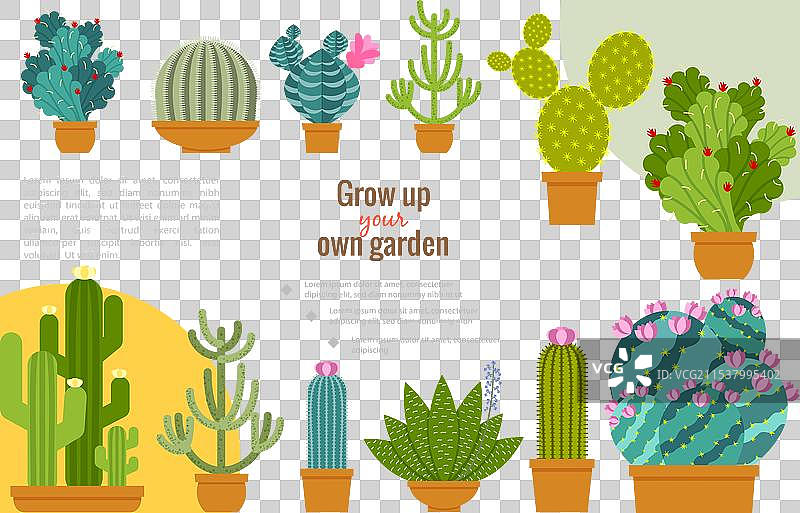 平面仙人掌家庭花园组合图片素材