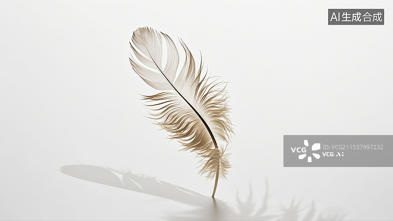 【AI数字艺术】一根羽毛白色背景图片素材