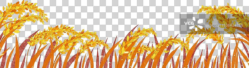 稻穗元素图片素材