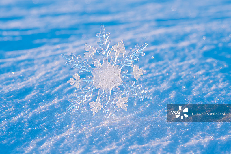 雪地上的大雪花图片素材