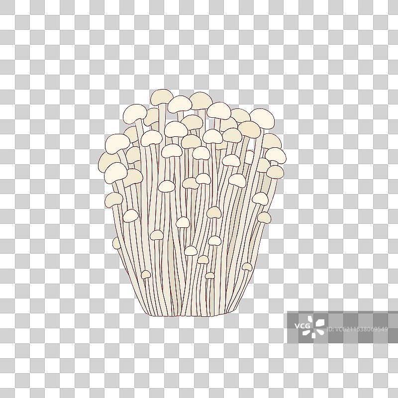 免扣插画中国风蔬菜金针菇图片素材