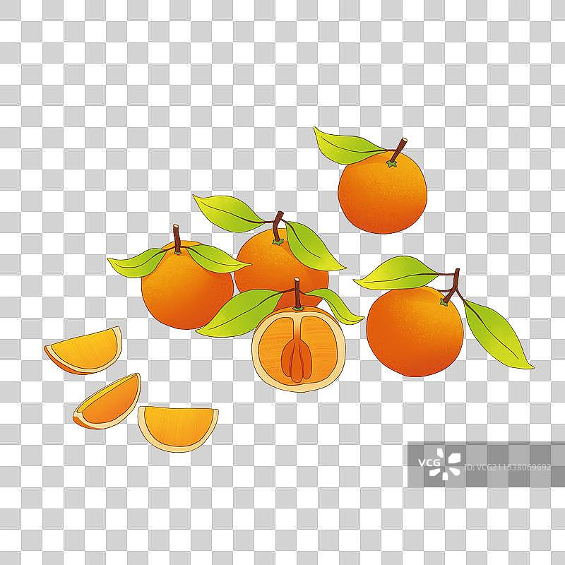 免扣插画中国风水果桔子沙糖桔图片素材