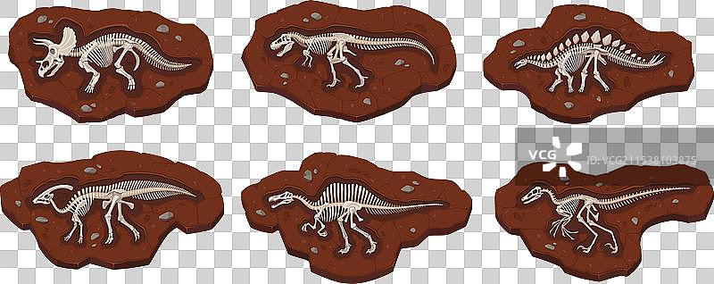 卡通恐龙化石骨骼古代骨架图片素材