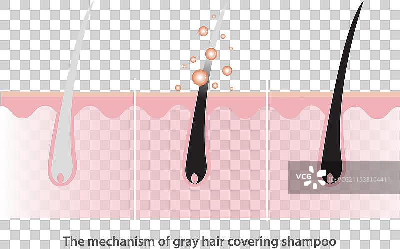 灰发遮盖洗发水的机制图片素材