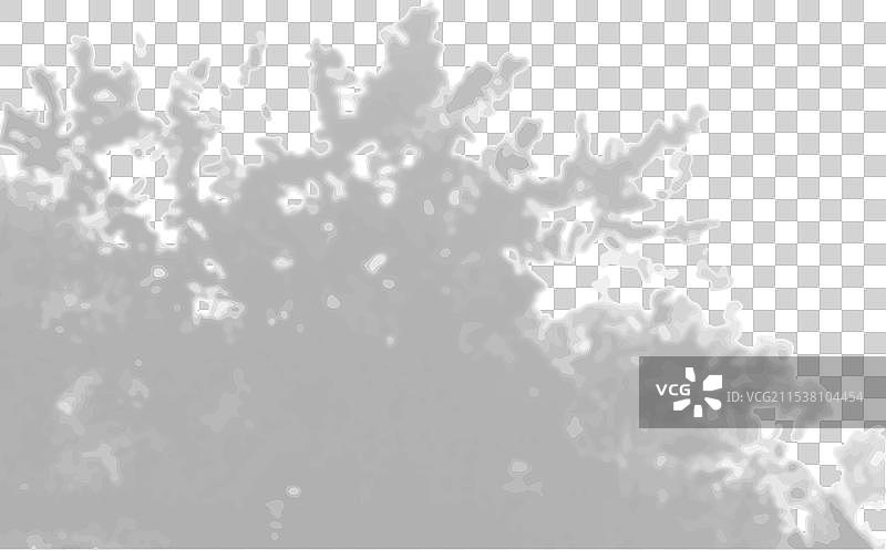 自然光从树叶投射出阴影图片素材