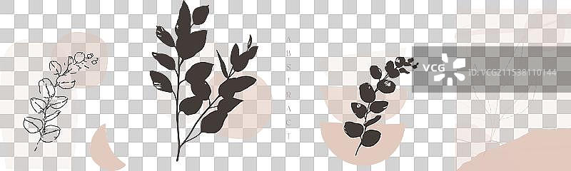 现代抽象形状艺术植物图案图片素材