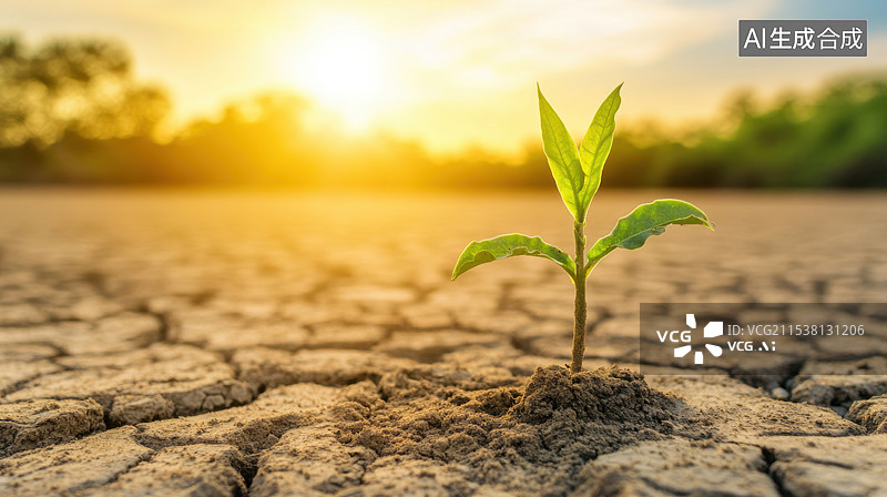 【AI数字艺术】荒漠干涸的土地生长的小树苗图片素材