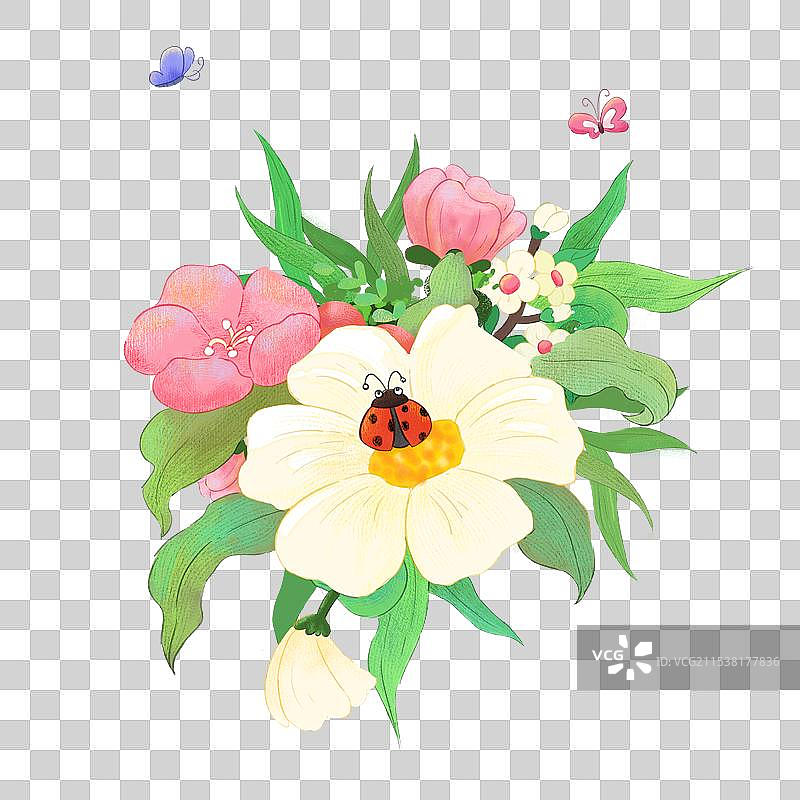 一只瓢虫停在花朵上插画元素图片素材