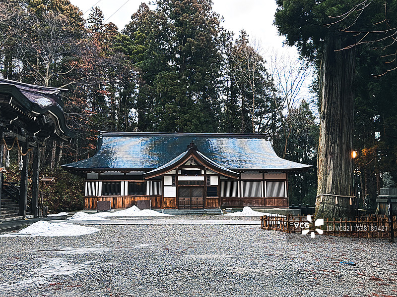 日本长野县户隐神社中社青龙殿宝物馆与古杉树图片素材