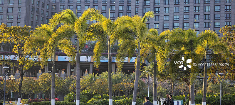 金湾毛林酒店大门口图片素材