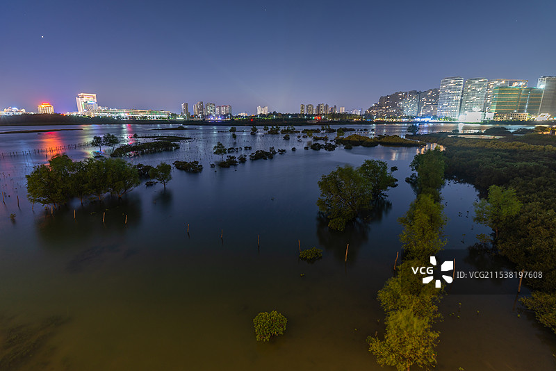 北海银滩冯家江出海口红树林湿地夜景，广西北海市图片素材