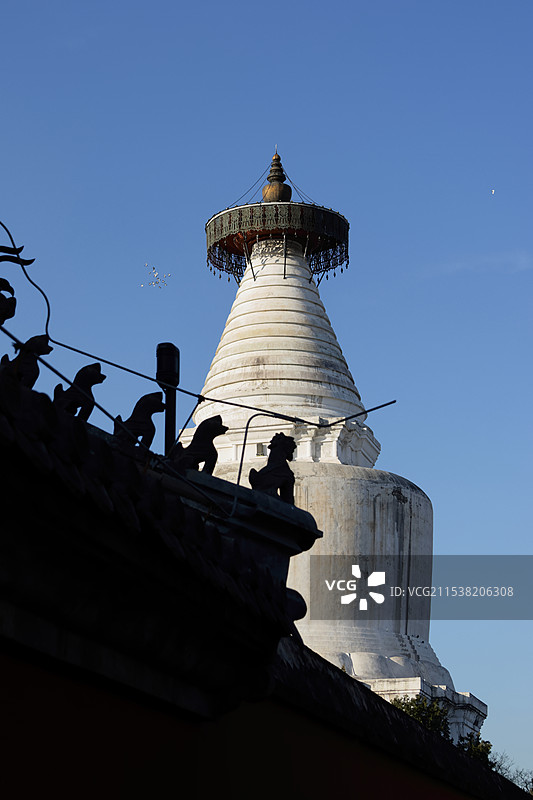 晴空下的北京妙应寺白塔图片素材