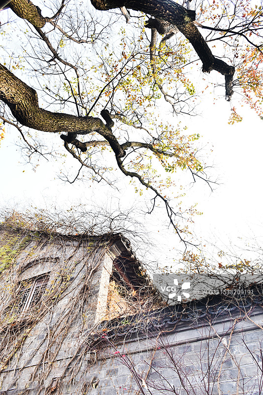 南京老门东一瞥图片素材