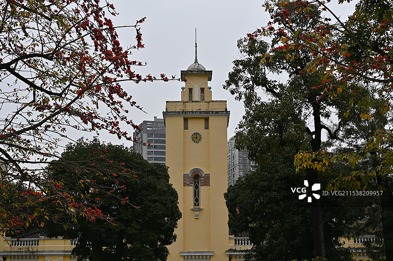 广州鲁迅纪念馆的钟楼及两旁的木棉花图片素材