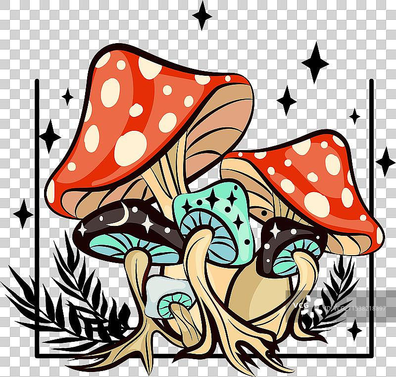 神秘的魔法蘑菇与月亮和星星图片素材