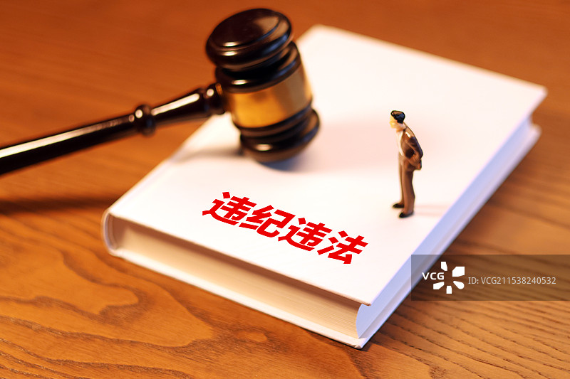 法律书籍上的法槌概念图  违纪违法图片素材