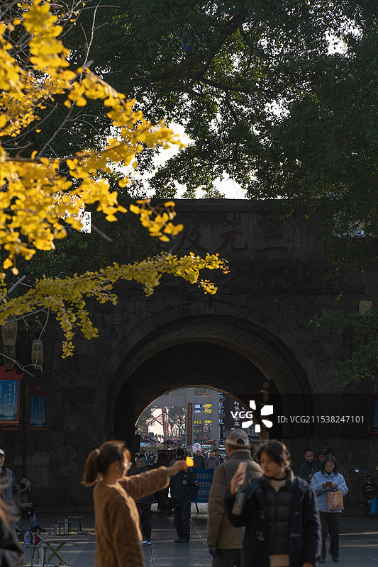 桂林独秀峰王城景区、银杏与游人图片素材