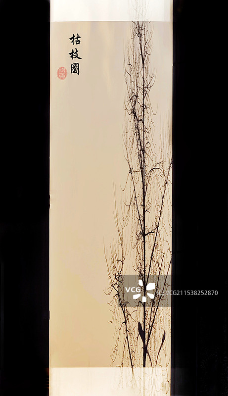 枯枝图~玻璃橱窗反射外景图片素材