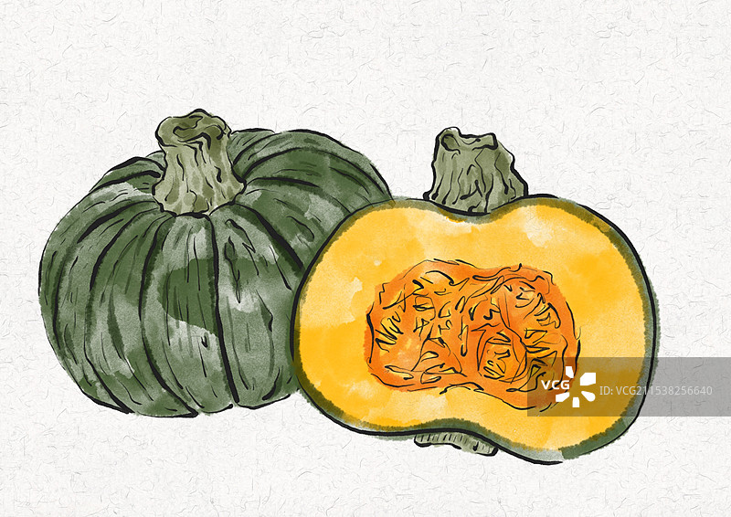 国潮风农作物蔬菜插画-贝贝南瓜图片素材