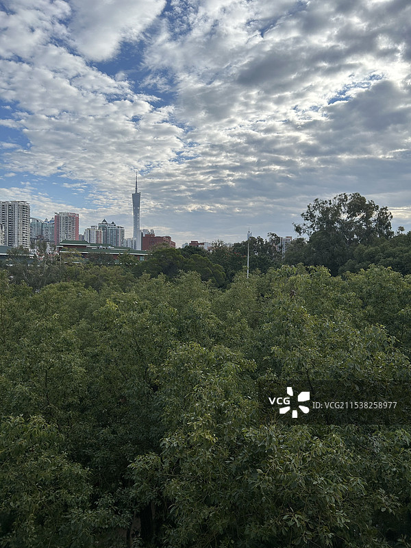 中山大学图片素材