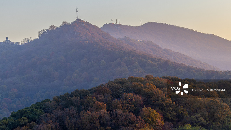 南京紫金山顶秋色长焦特写图片素材