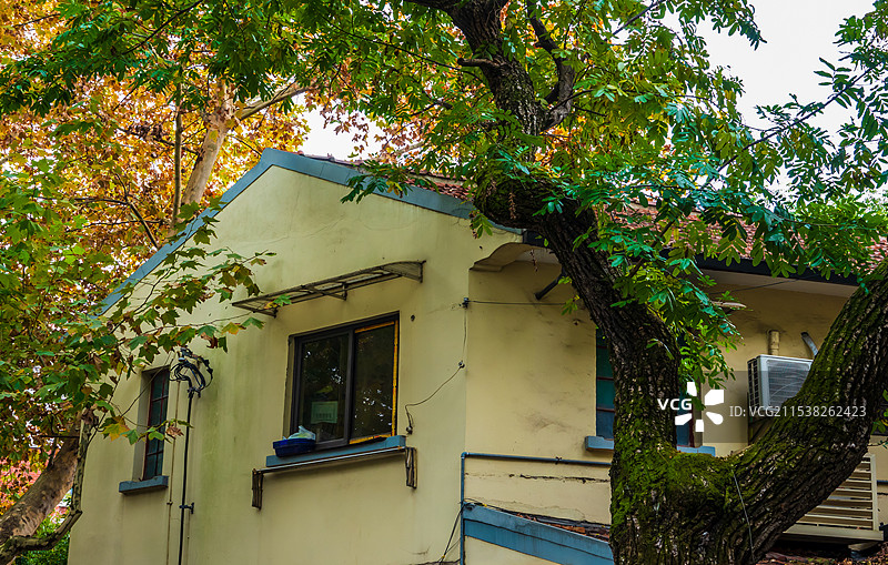 上海，武康路历史文化街区图片素材