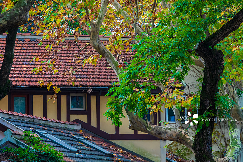 上海，武康路历史文化街区图片素材