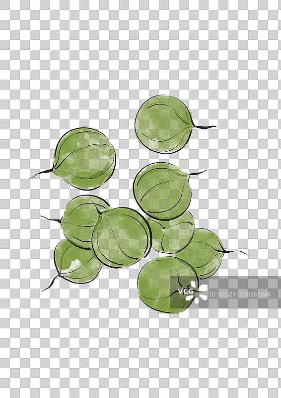 国潮风年货坚果植物插画元素-夏威夷果图片素材