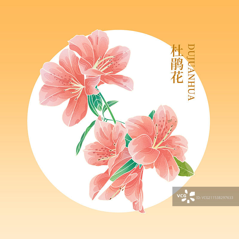 杜鹃花国潮插画图片素材