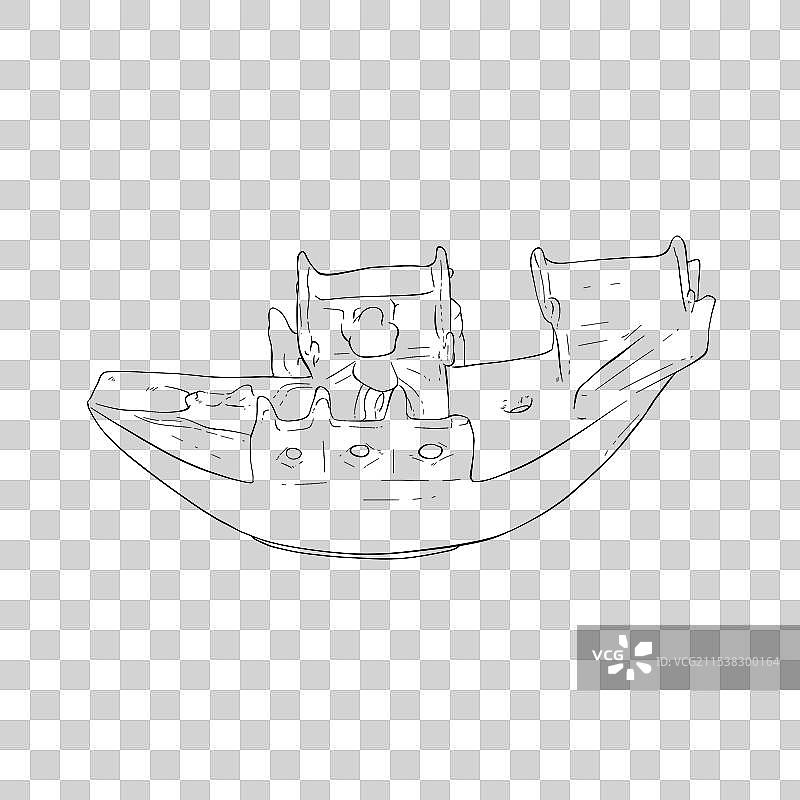 龙泉窑青瓷舟形砚滴图片素材