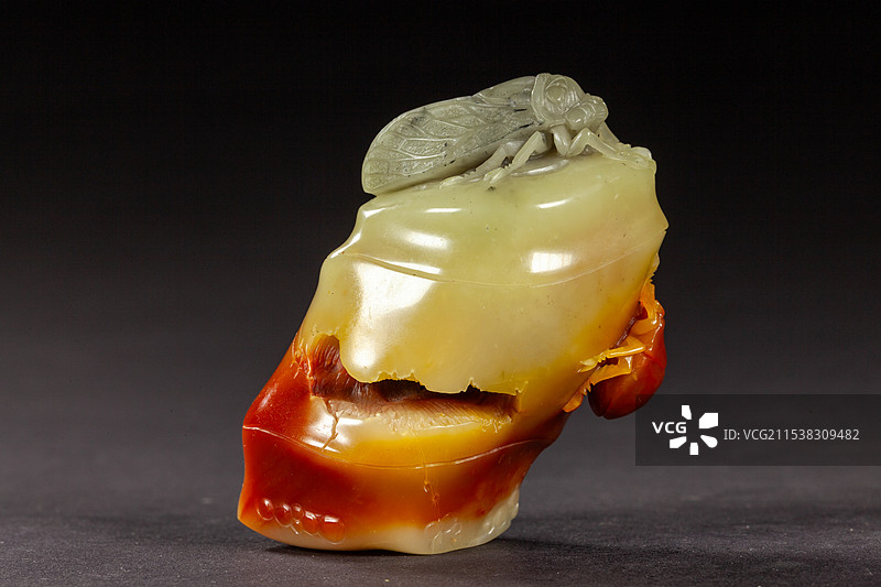 福州寿山石芙蓉石《竹节甲虫》手把件图片素材