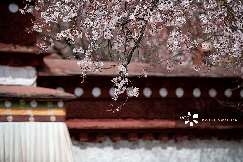 西藏帕邦喀宫图片素材