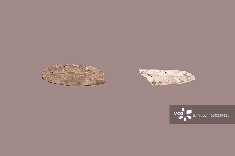 蚌刀 新石器时代 蒙城尉迟寺遗址 蒙城县文物局图片素材