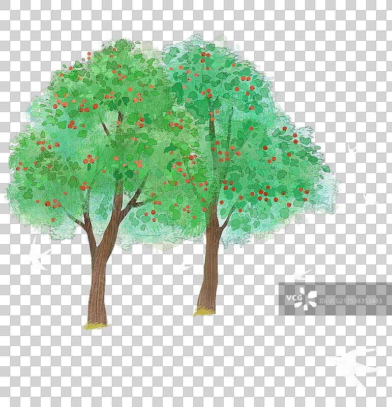 两颗山楂树图片素材