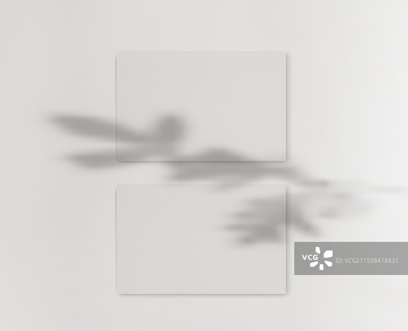 带阴影叠加效果的名片模型图片素材