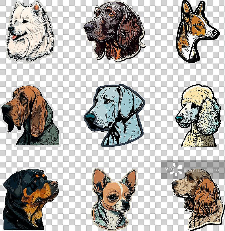 狗狗贴纸扁平图标集，独立于白色背景图片素材