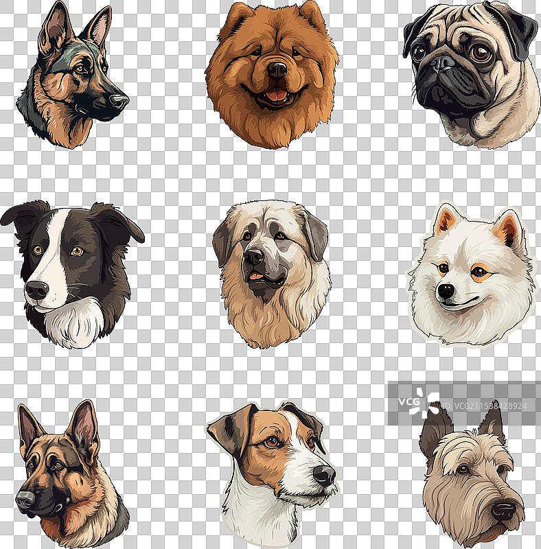 狗的扁平图标集，独立于白色背景图片素材