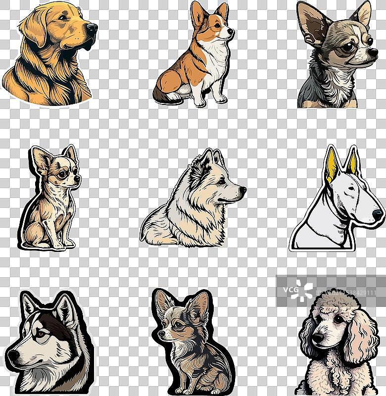 狗狗贴纸平面图标集，独立于白色背景图片素材