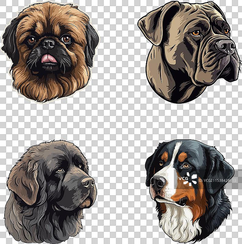 狗狗平面图标集，孤立在白色背景上图片素材